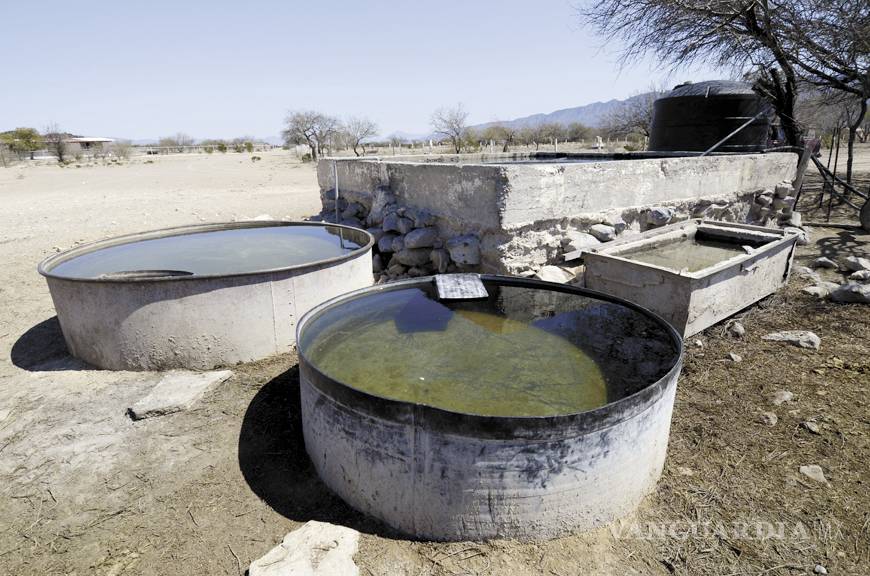 $!A casi 10 años de CIMARI, sólo hediondez
