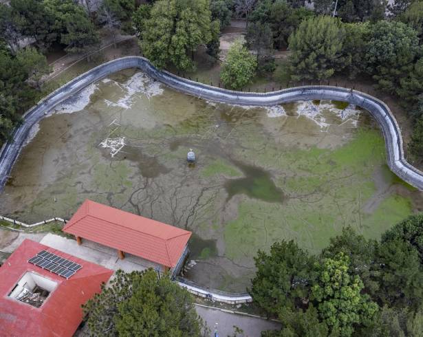 El Bosque Urbano Ejército Mexicano mantiene en revisión un proyecto integral para restaurar y reforestar su emblemático laberinto vegetal, deteriorado tras problemas en el sistema del lago artificial.