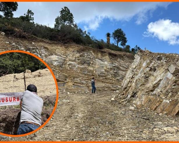 POLITICÓN: 10 mil metros de bosque talados en Arteaga y el municipio... sin ver nada