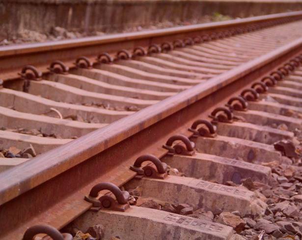 Hallan 7 cuerpos sin vida de migrantes dentro de contenedores de trenes de carga