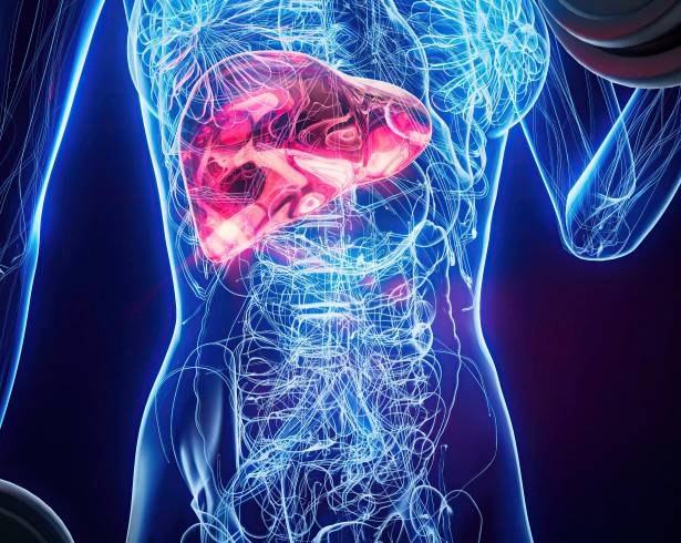 Tras cuatro décadas de intentos fallidos, la comunidad médica logra descifrar el mecanismo para bloquear la mutación KRAS, considerada “intratable” desde 1982.