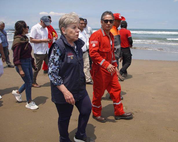 La titular de la Secretaría de Medio Ambiente y Recursos Naturales (Semarnat), Alicia Bárcena Ibarra, informó que realizaron un recorrido en las zonas dañadas por el derrame de hidrocarburo en Veracruz.