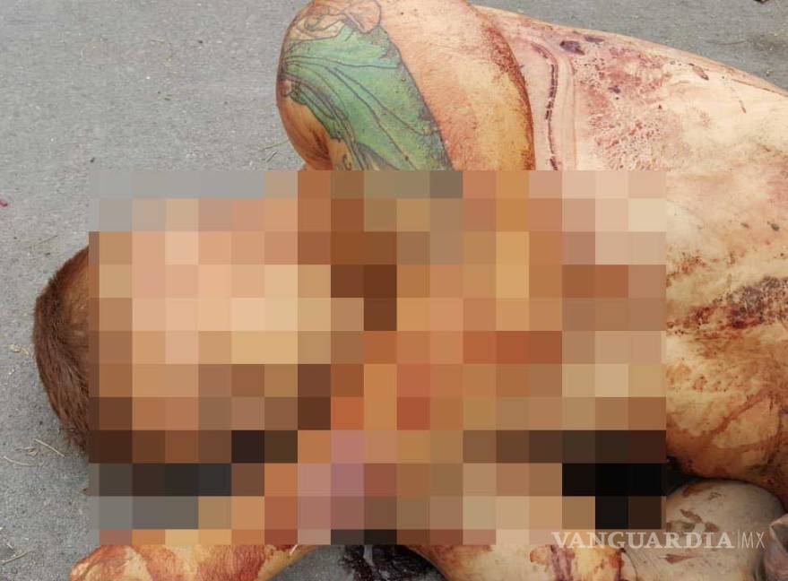 $!Identifican cuerpo de 'encobijado' hallado en Apodaca, Nuevo León