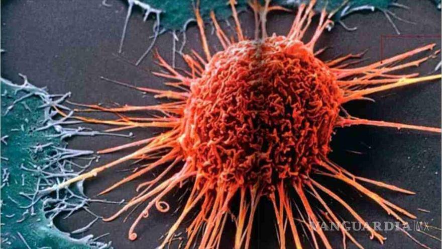 $!Descubierto un nuevo síndrome genético que predispone al cáncer