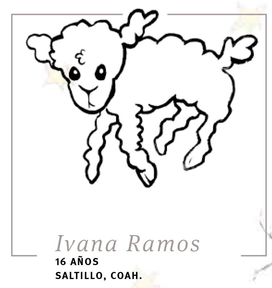 $!A 75 años de la publicación de 'El Principito', pedimos a lectores y colaboradores: 'Por favor... dibújame un cordero!