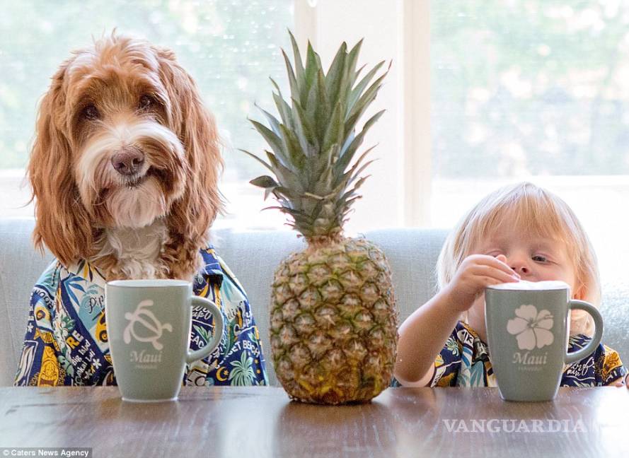 $!Buddy y Regan, la amistad que se ha vuelto viral en internet