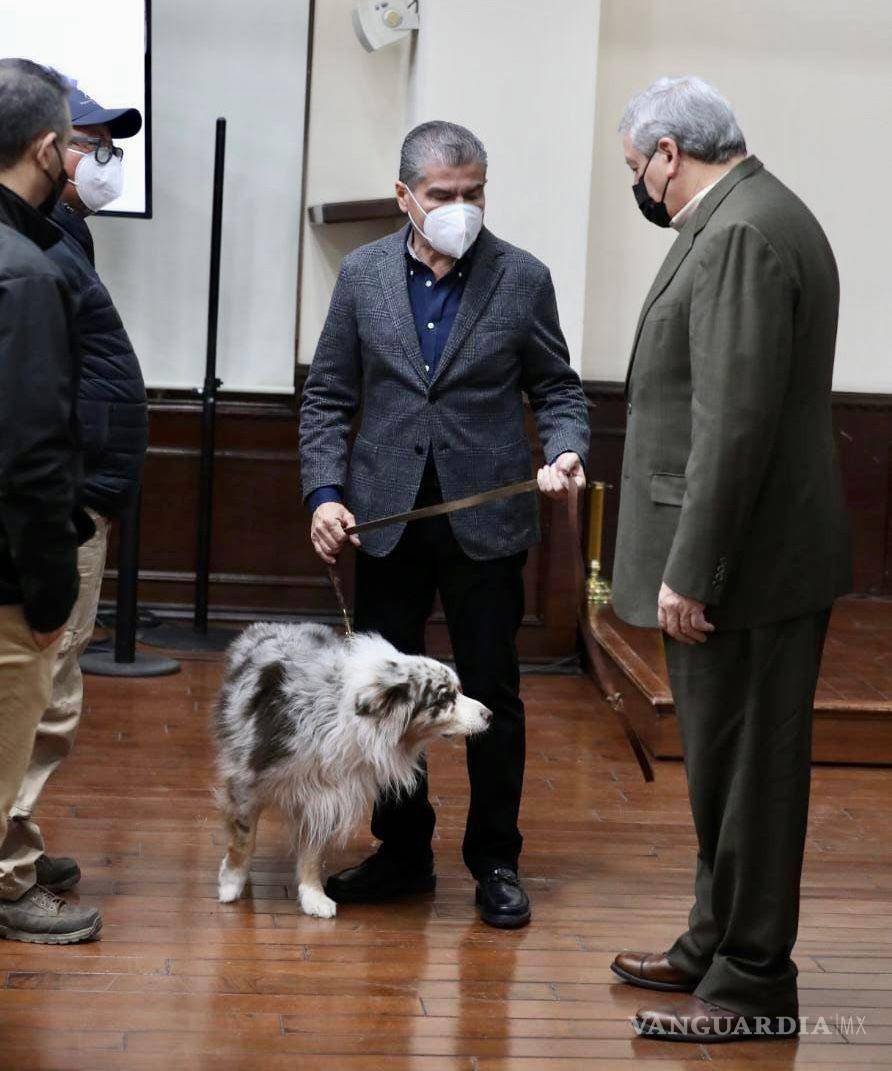 $!Se fortalecerá, se dijo, la Policía Ambiental al ampliar sus facultades para incluir el maltrato o crueldad animal.