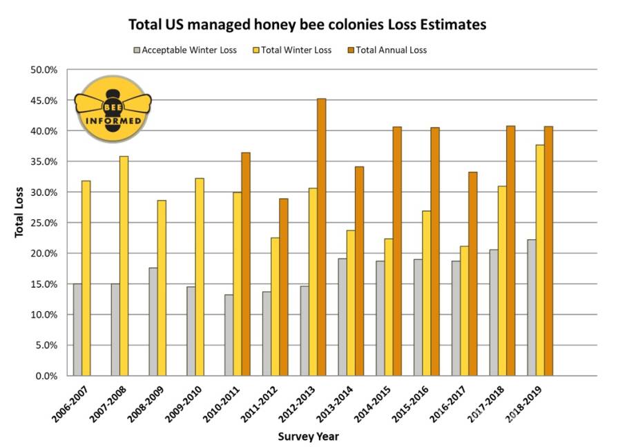 $!Hay en EU un alto índice de mortandad de abejas