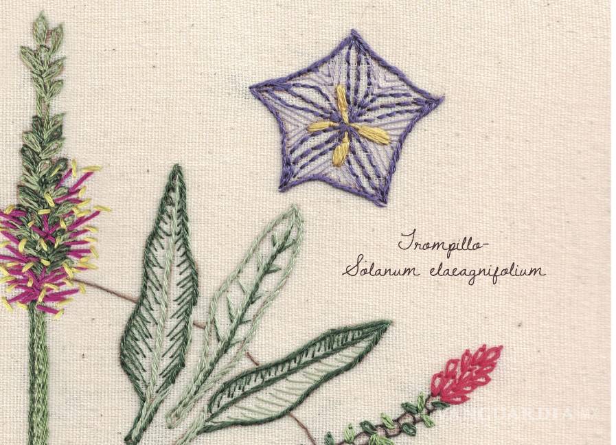 $!Las plantas nativas de Saltillo ilustran el póster (tejido) del aniversario 448 de la ciudad