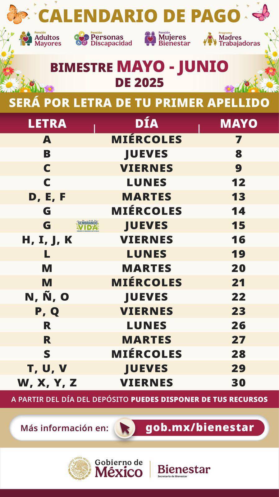$!¿Por qué se retrasaron los pagos de la Pensión del Bienestar del bimestre mayo-junio? Ariadna Montiel responde