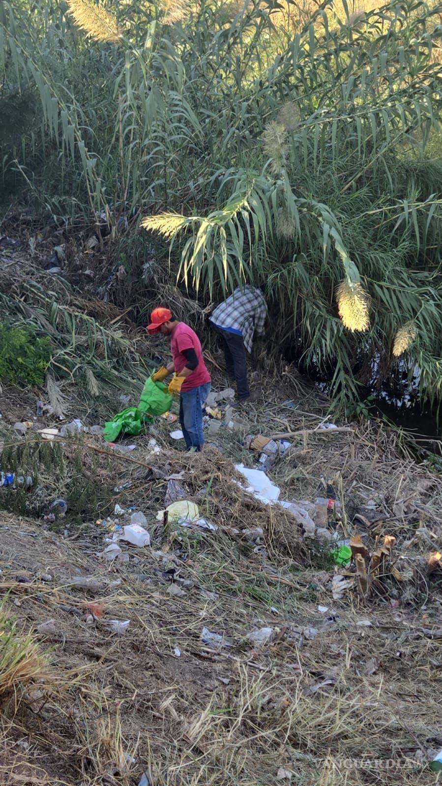 $!La acumulación de maleza y desechos era tan densa que impedía ver los costados del arroyo.