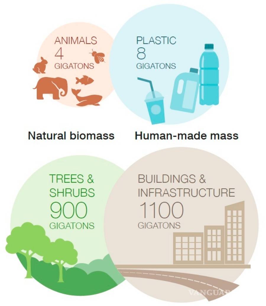$!En el 2021 habrá mas edificios que árboles, según el Instituto Weizmann de Ciencias