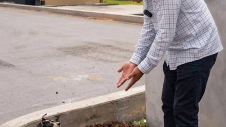 Arquitecto Juve junto al perrito “Chiche”, tras decidir adoptarlo al finalizar la grabación.