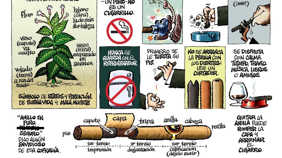 Puros