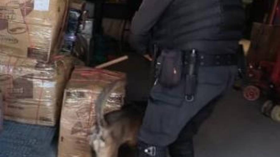 Binomio canino halla droga en la Central de Autobuses de Monterrey