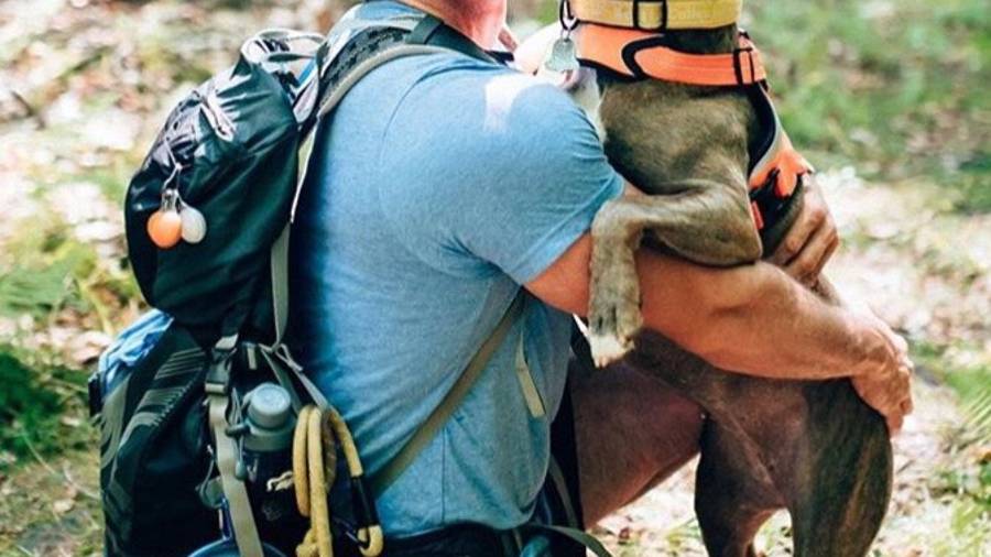 Un alcohólico y una pitbull: juntos salvaron sus vidas