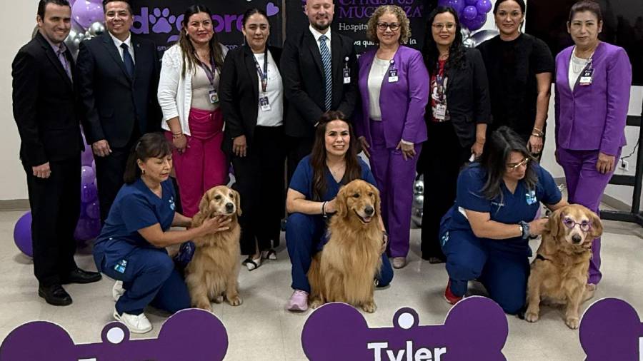 Perros entrenados interactúan con pacientes como parte del programa terapéutico.