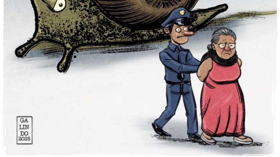 Justicia lenta y torpe