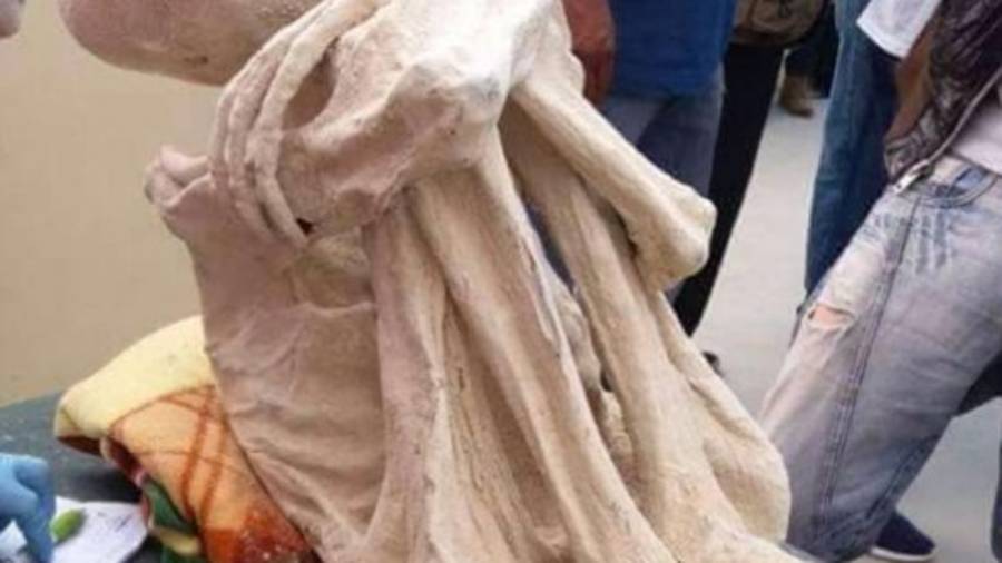 Esto es lo que dice Maussan sobre la momia 'extraterrestre' de Perú