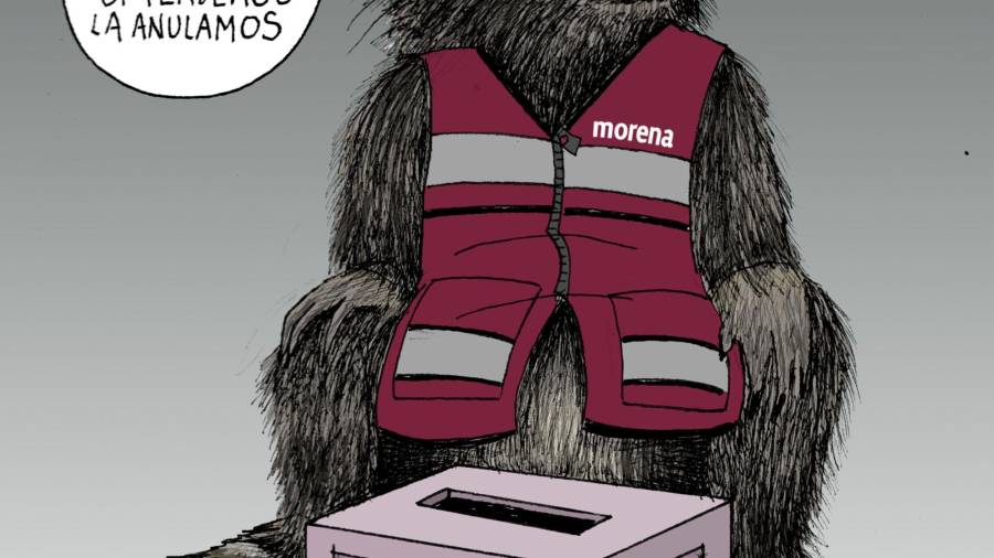 Morena: Reglas electorales