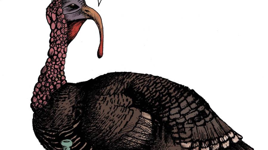 La cruda... realidad