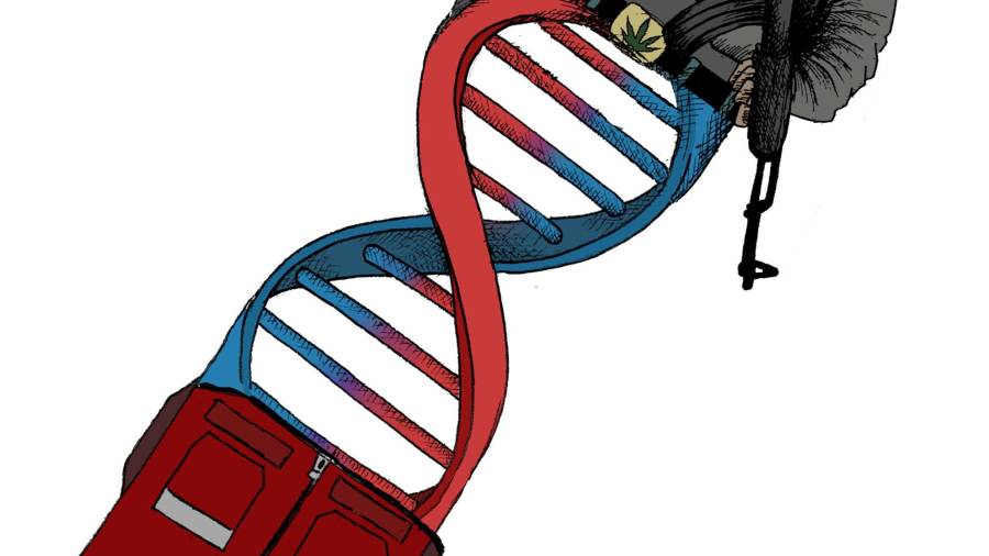 Narcopolítica: Los genes