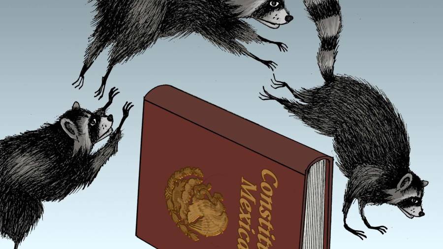 Brincolines electorales