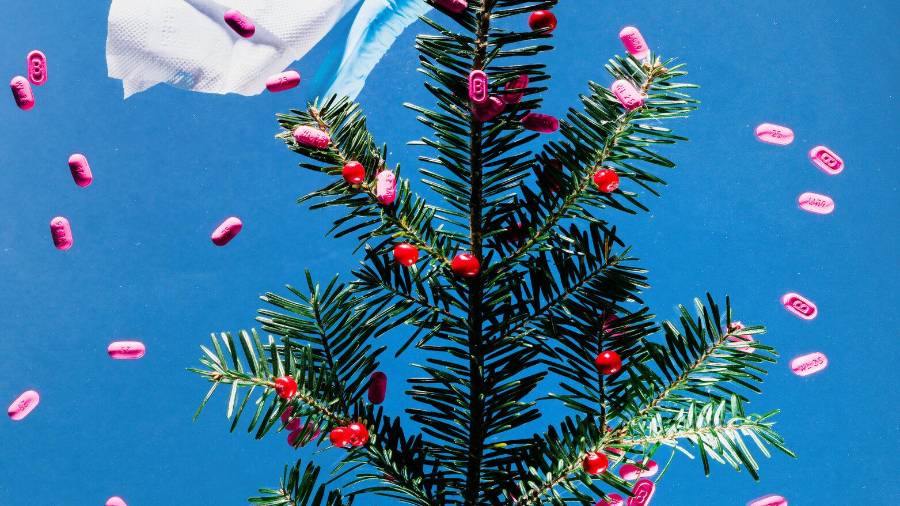 Si se te irrita la piel tras tocar el árbol, intenta crear “una barrera” entre tu piel y el árbol.