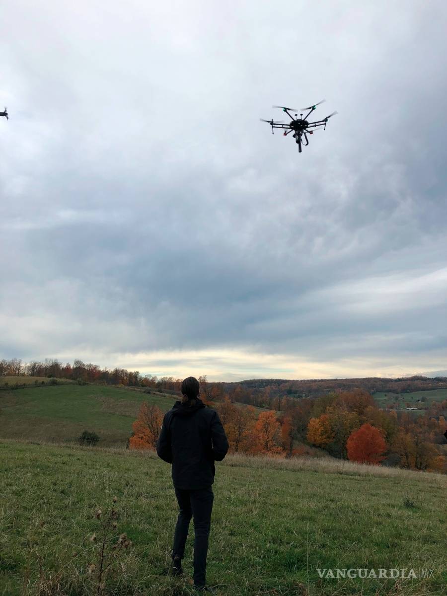 $!La empresa Flash Forest quiere sembrar mil millones de árboles en Canadá usando drones