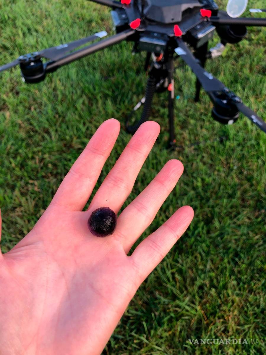 $!La empresa Flash Forest quiere sembrar mil millones de árboles en Canadá usando drones