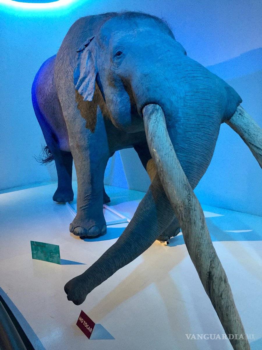 $!Museo del Desierto se mantiene a la vanguardia