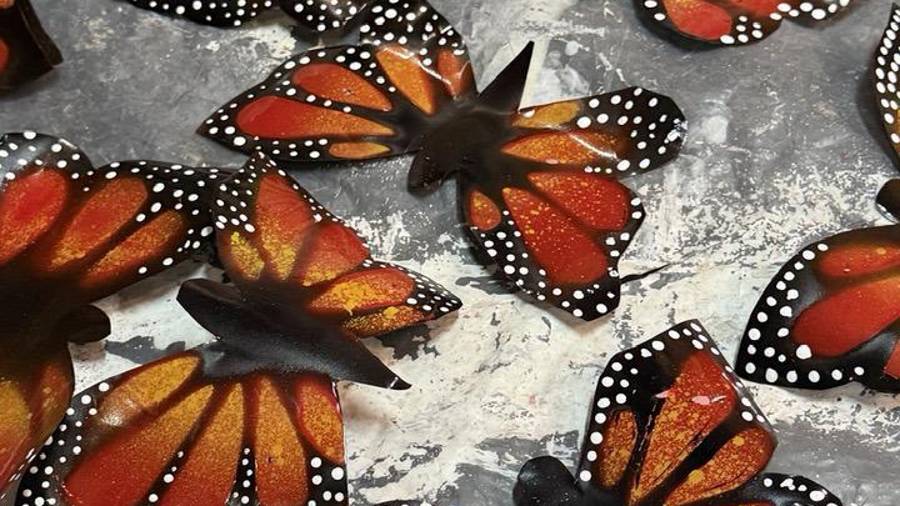 Ya preparan el Festival del Paso de la Mariposa Monarca en Saltillo