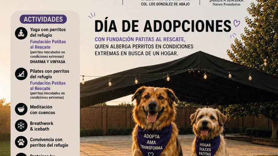 Fundación Patitas al Rescate busca brindar una segunda oportunidad a perros rescatados mediante jornadas de adopción y actividades de convivencia con la ciudadanía.