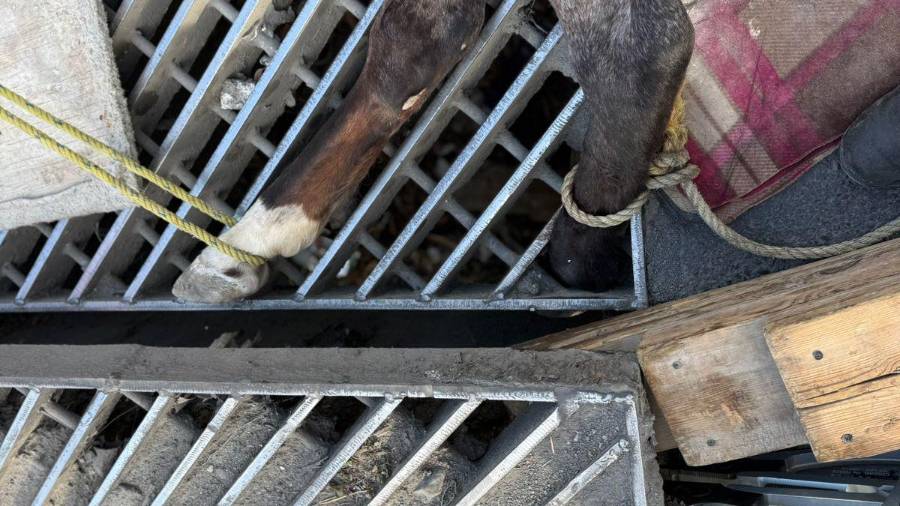 Los hechos se registraron este sábado en la colonia Francisco Villa, en Monterrey, reportó PCNL