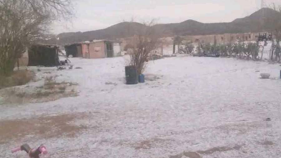 La caída de hielo se registró únicamente en comunidades de gran altitud de la sierra de Ocampo, como consecuencia del frente frío número 27 que afectó a la Región Centro de Coahuila.