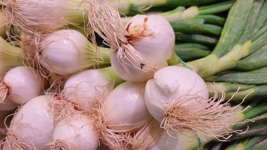 Este ingrediente acompaña y da sabor a decenas de platillos mexicanos y de gran popularidad internacional.