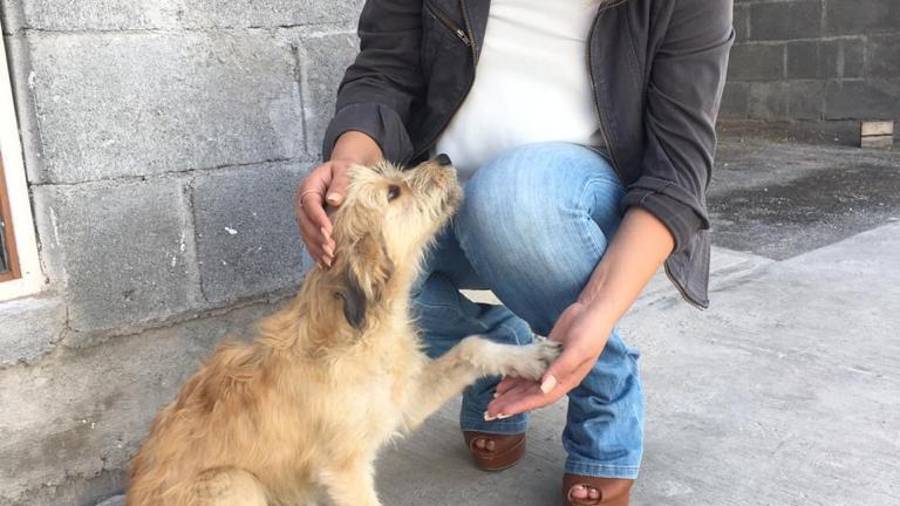 ¿Qué significa ser un rescatista independiente?