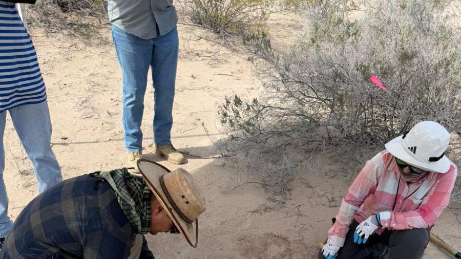 Grupo VIDA ha encontrado en total 29 puntos donde se han localizado huesos y restos de huesos, y de ellos, al menos 10 zonas han sido consideradas como “campos de exterminio”.
