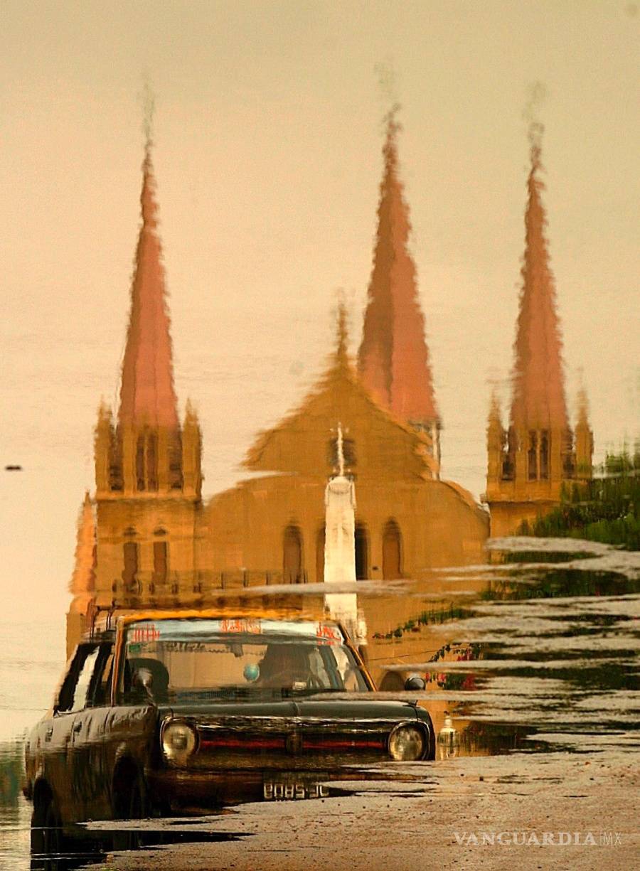 $!En el 2021 habrá mas edificios que árboles, según el Instituto Weizmann de Ciencias