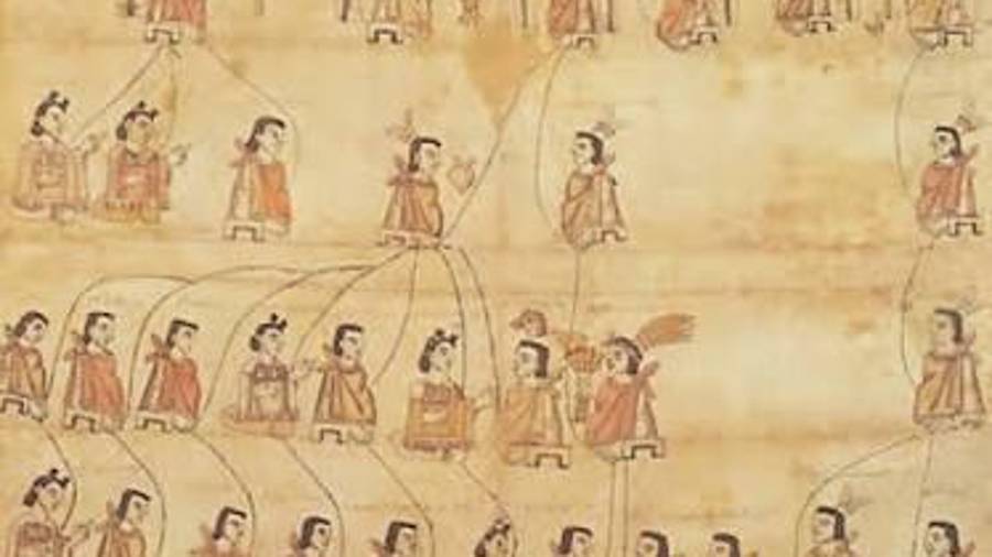 Genealogía pictográfica: las figuras conectadas por líneas representan generaciones de una misma familia indígena.