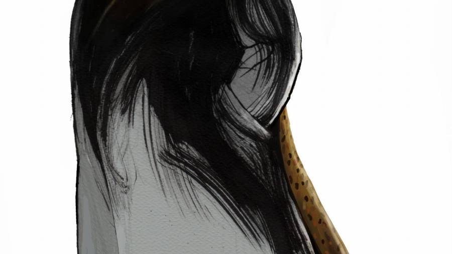 Peso mexicano, poderoso caballero