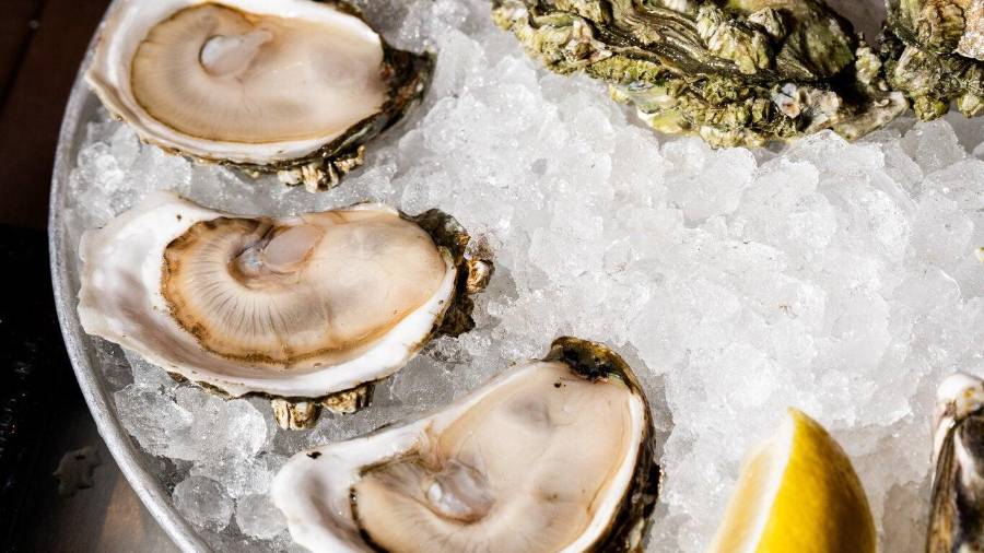 Algunos alimentos marinos se han convertido en un lujo, cuando solían ser comida común
