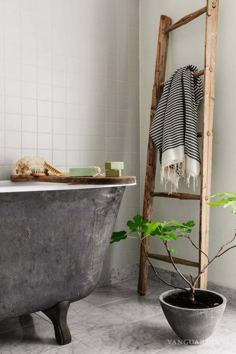 $!¡Salva al planeta! 5 hábitos eco friendly que puedes adoptar en tu hogar