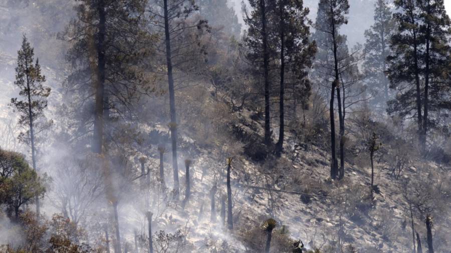La mayoría de los daños se concentra en pastizales y matorrales.