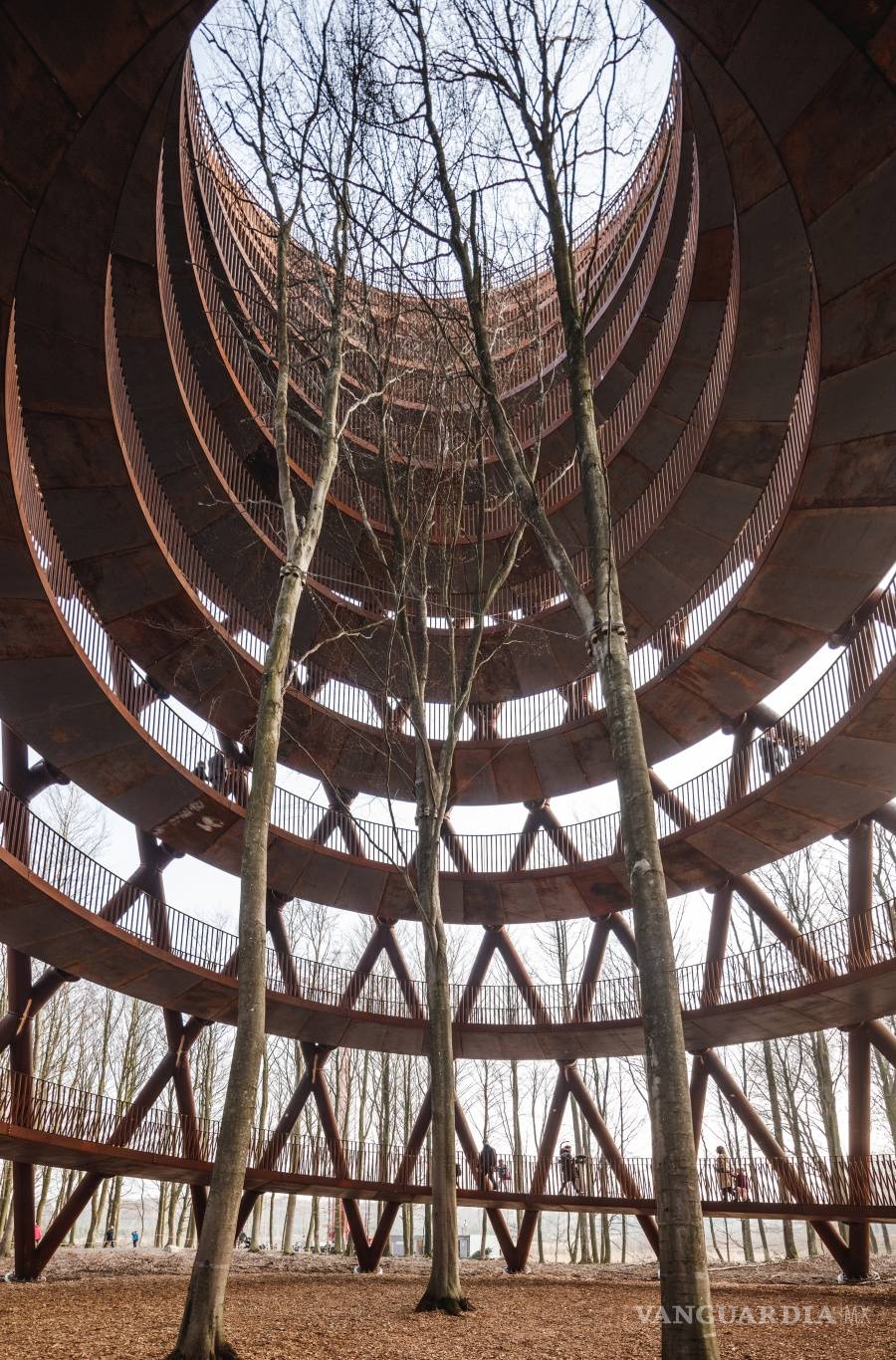 $!La Forest Tower les ofrece a los visitantes una nueva perspectiva del bosque escandinavo