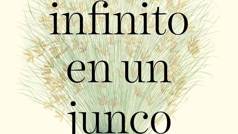 El Infinito en un Junco