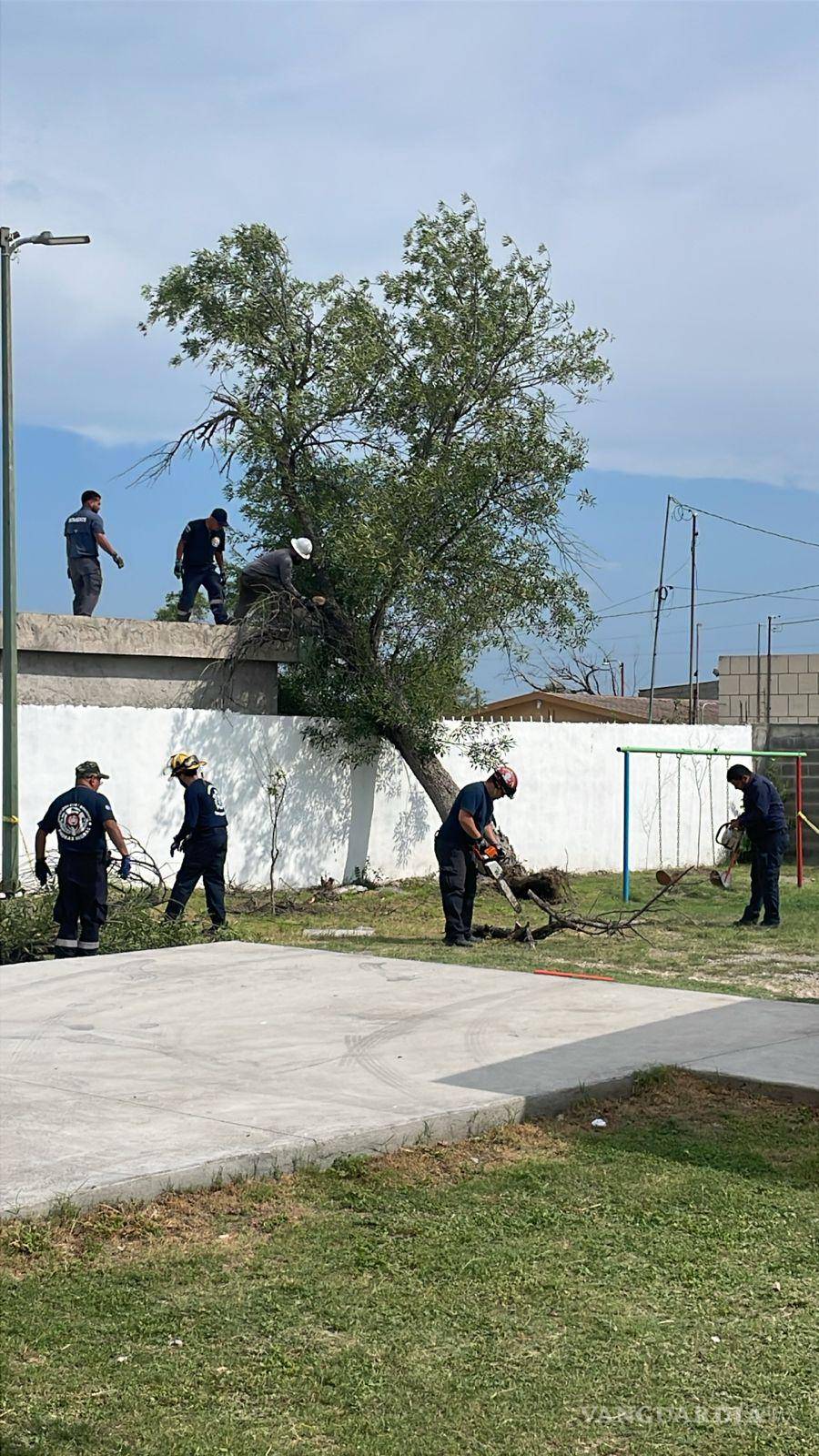 $!Personal de Protección Civil evalúa los daños causados por árboles caídos.