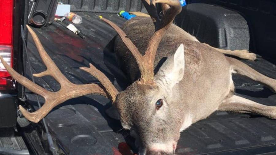 Confirman arresto de cazador furtivo en Laredo; cazó un venado en zona urbana