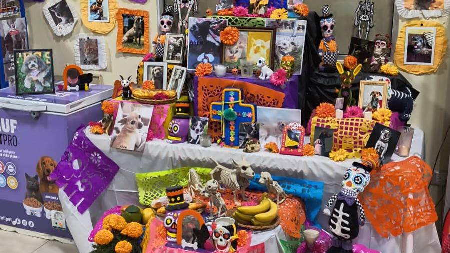 La fotografía de Rocky destaca en el altar de Día de Muertos instalado por el personal de la veterinaria Pets Care en Saltillo.