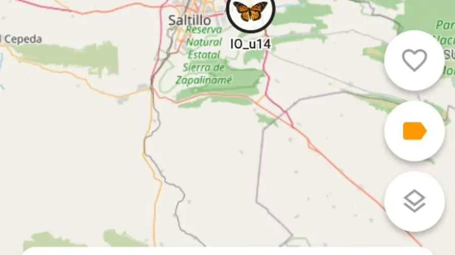 IO_u14 aparece registrada en la zona Saltillo–Arteaga mediante Project Monarch. El punto de liberación del ejemplar está señalado en Ames, Iowa.